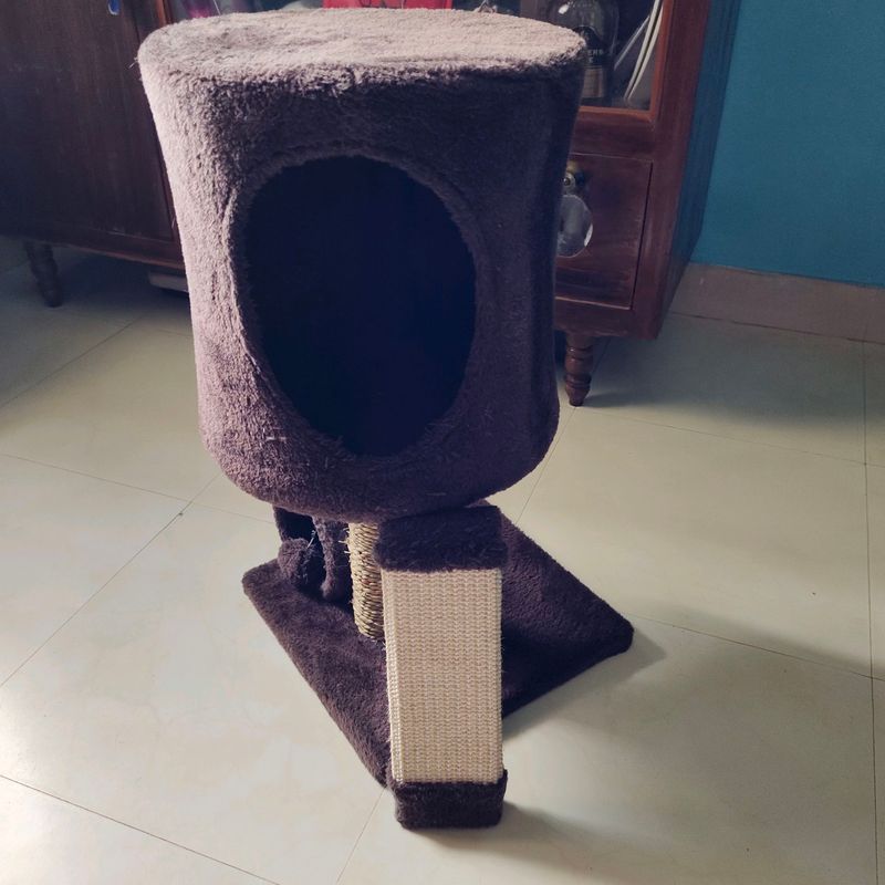 cat house &amp; cat food combo
