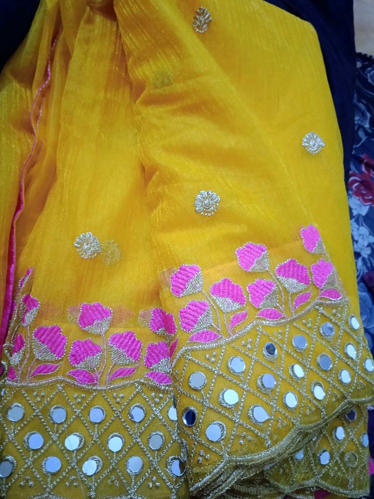 mirror Organza Saree