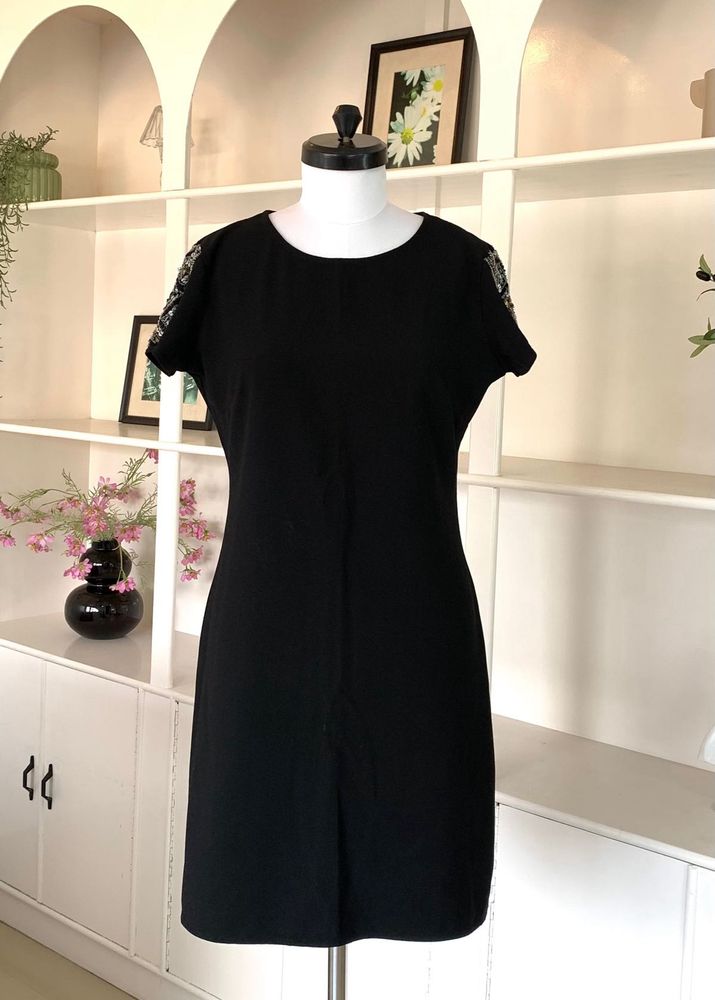 Elegant Black Dress with Embellished Sleeves