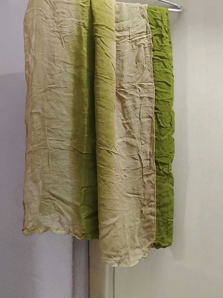 Green Ombre Dupatta