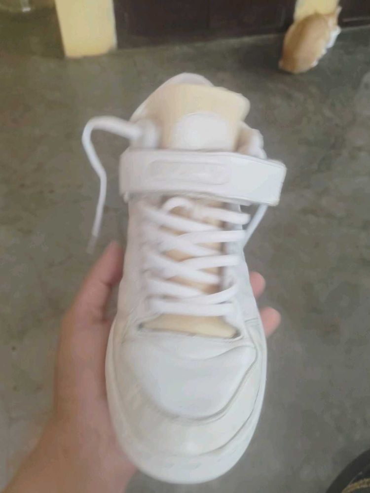Adidas High Top Sneakers