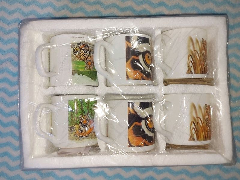 Wildlife Craft Collection 👌