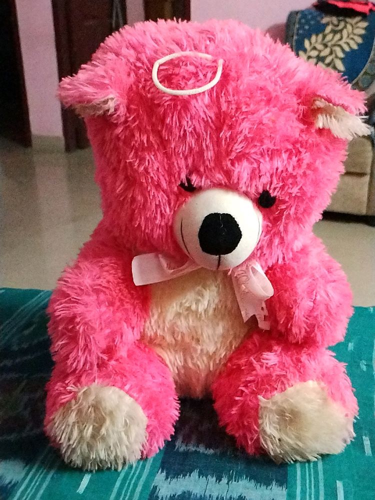 Deddy Bear For Kids New