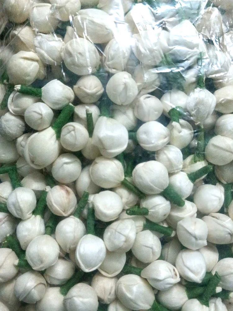 Jasmine Flowers 500 Pieces