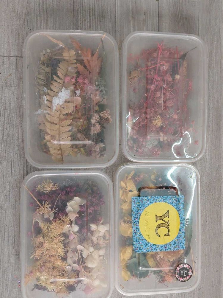 Dried Flowers For Resin