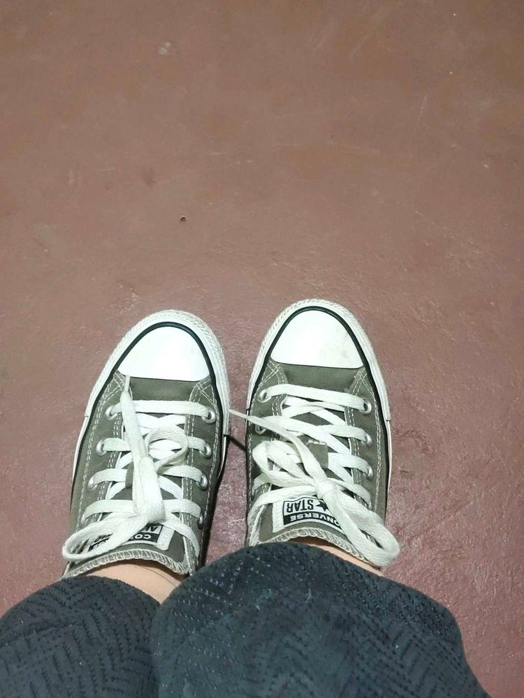 Converse All Star Sneakers