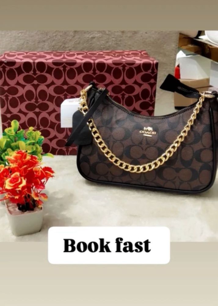 Coach Handbag with Chain Detail