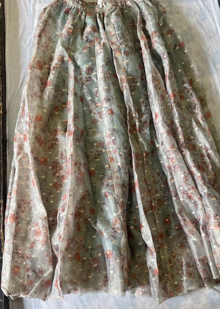 Floral Print Organza Skirt
