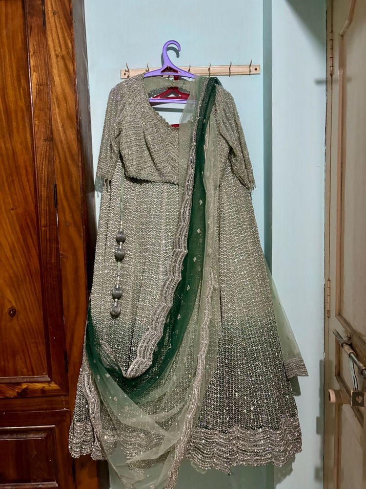 Pastel Shaded Green  Designer Lehenga