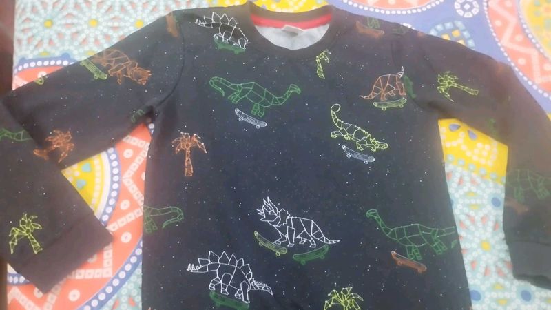 Dinosaur Skater Print Top