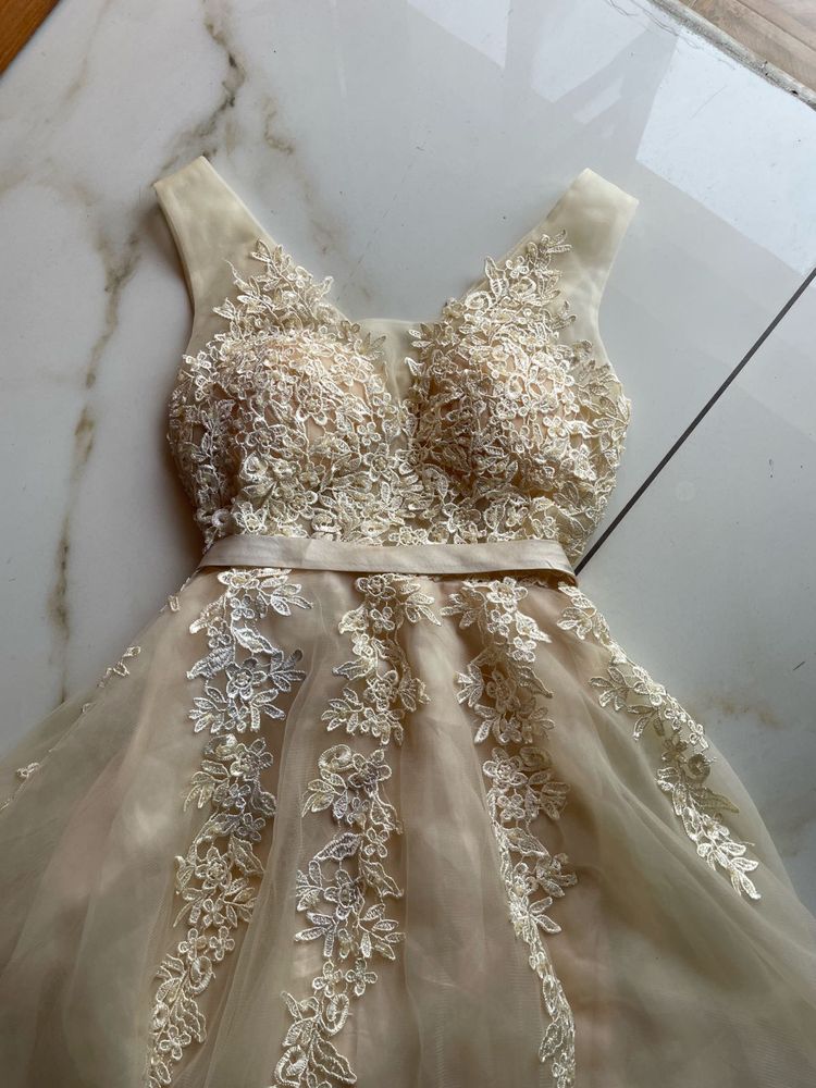 vintage Lace tulle dress