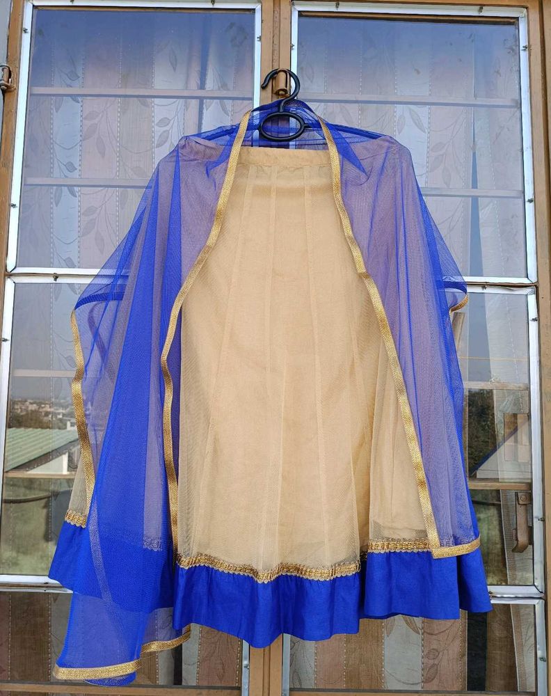 Elegant Beige &amp; Blue Lehenga Choli