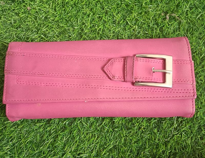 Purse/ Clutch