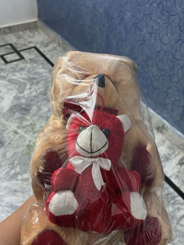 Cute Teddy Bear Set