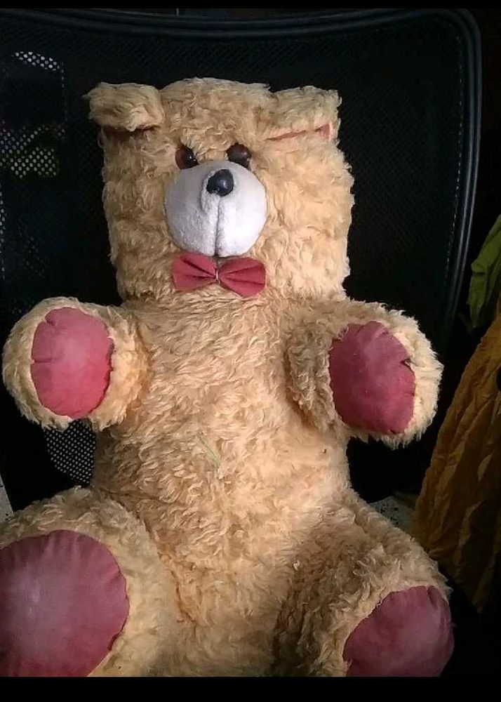 Tedy Bear