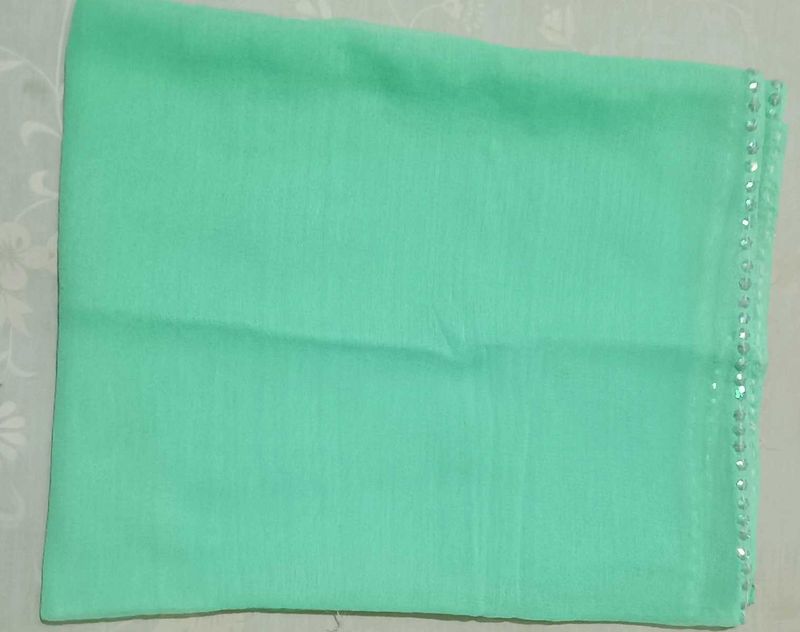 Elegant Mint Dupatta with Sequins