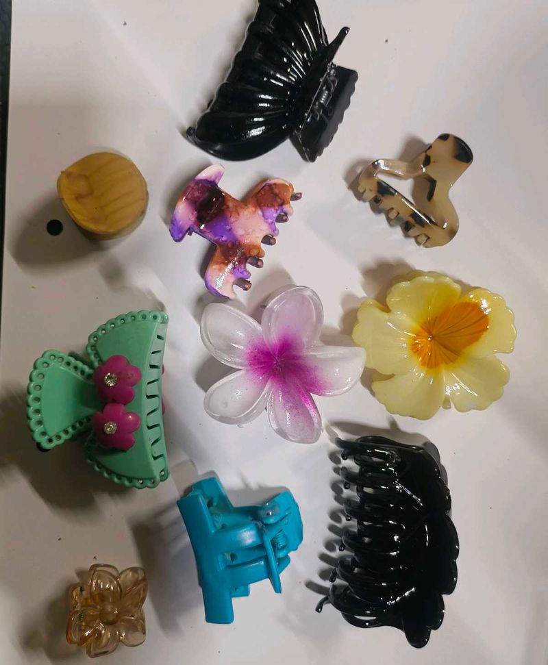 Assorted Hair Clips and Claw Set