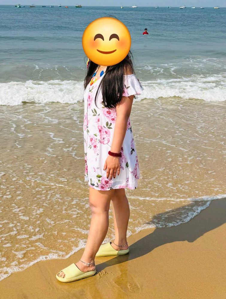 Women Skater Multicolor Dress