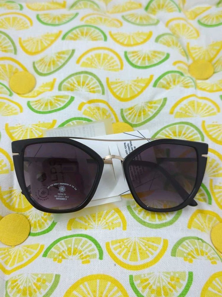 Aldo Sunglasses _1381