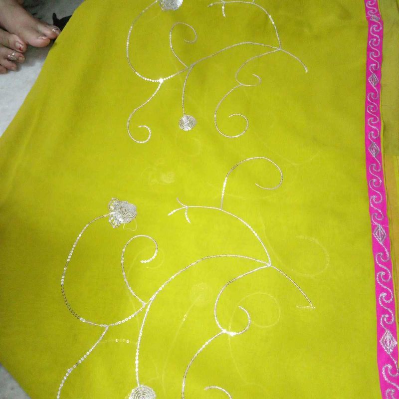 Lime Green Saree with Silver Embroidery