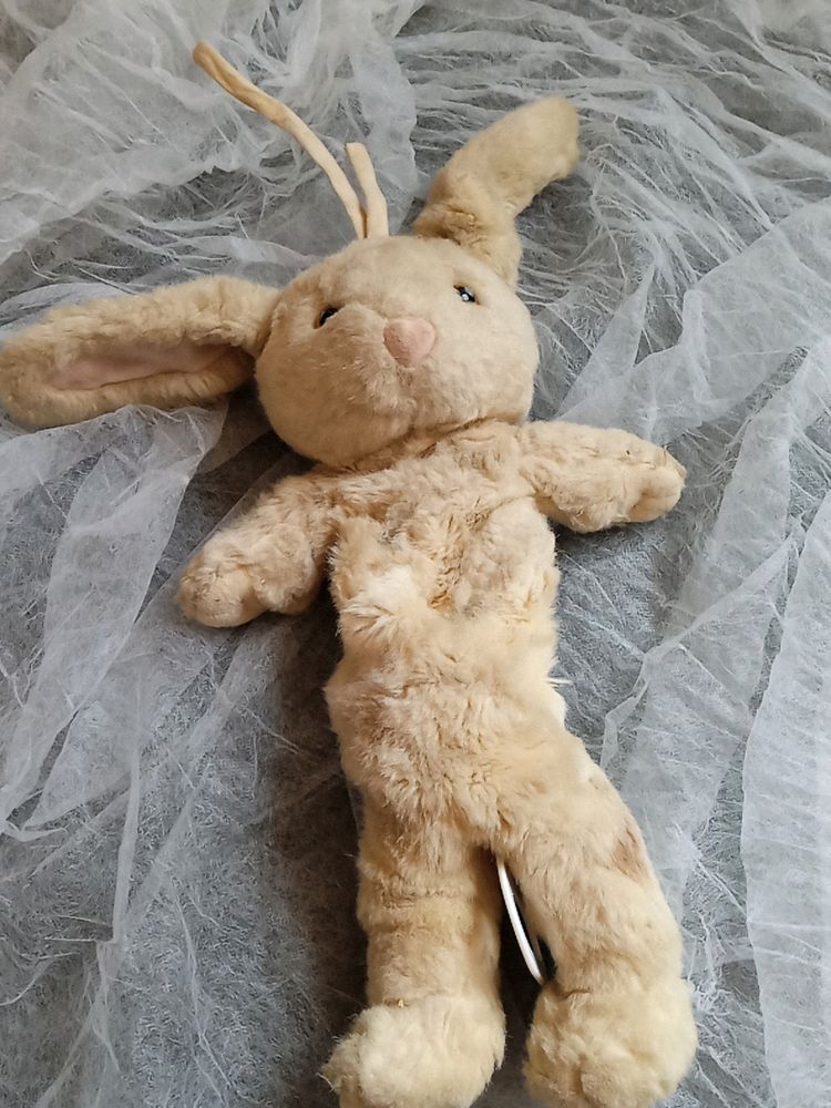 Bunny Pull Music Toy