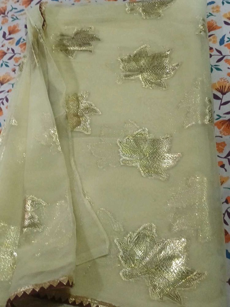 new organza saree with blouse