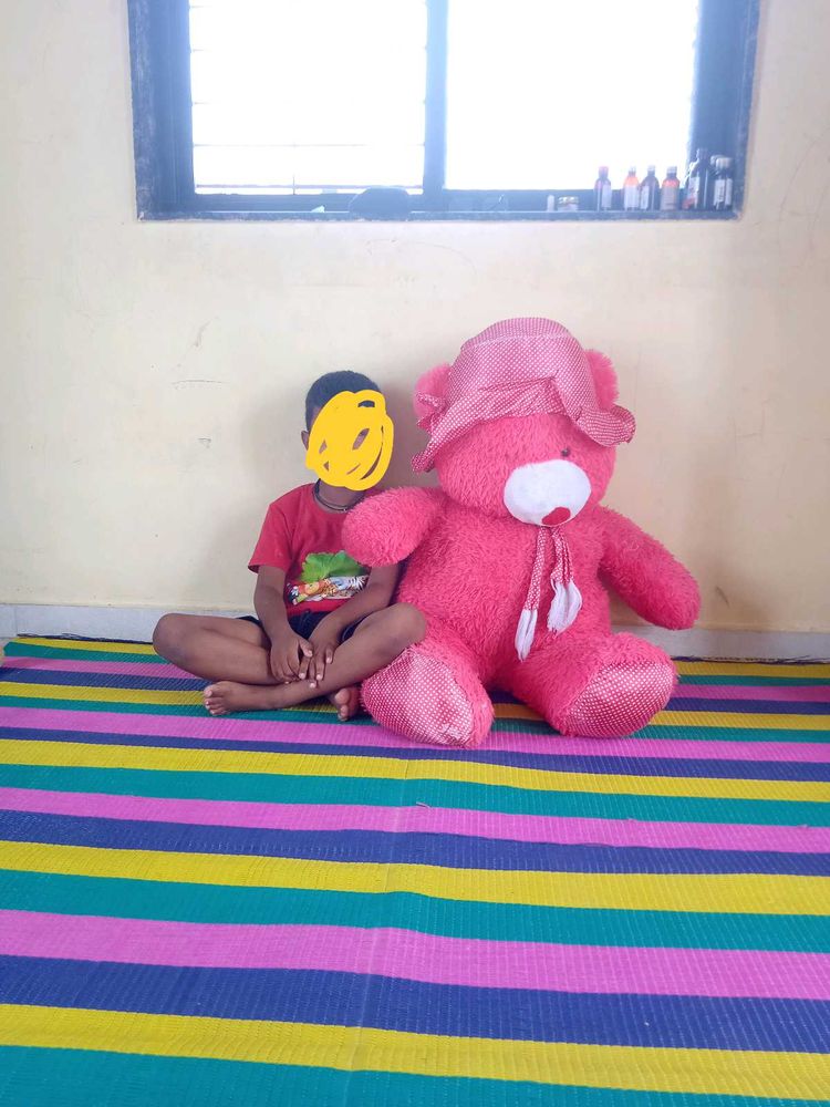 Giant Pink Teddy Bear
