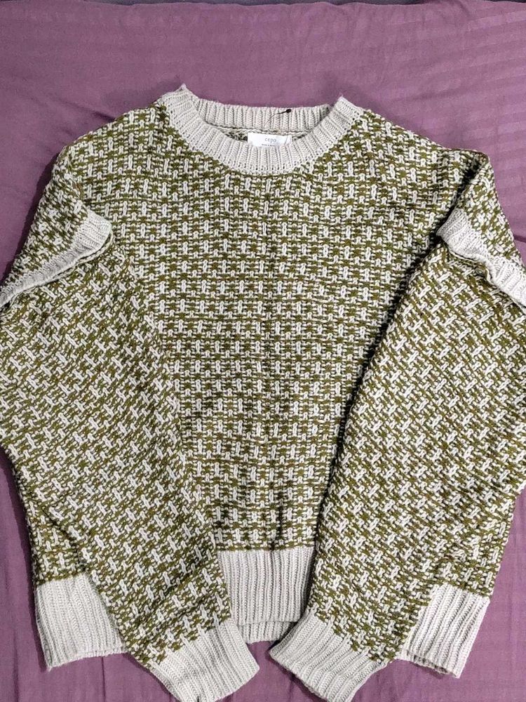 Olive &amp; Beige Knit Sweater
