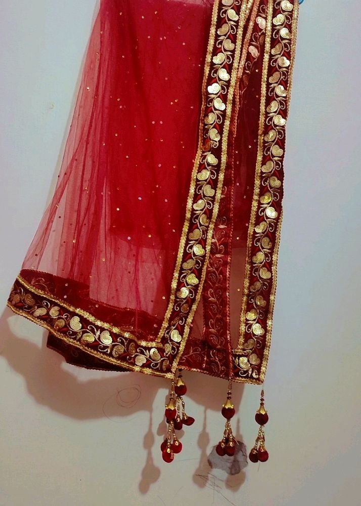Mehroon Net Party Wear Dupatta
