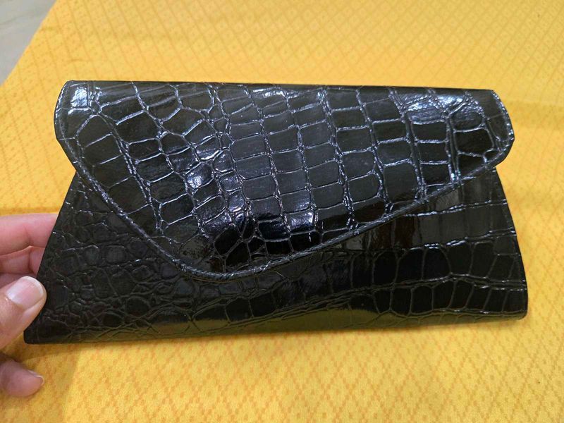 Satya Paul Clutch/ Sling