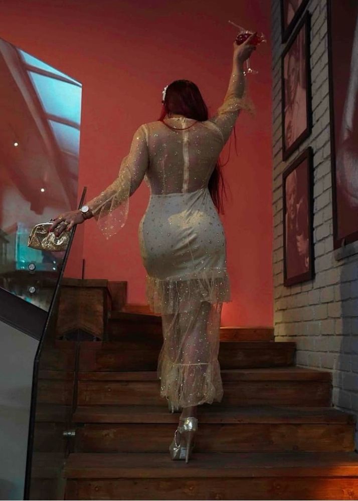 Soft Net Sequin Party Dress