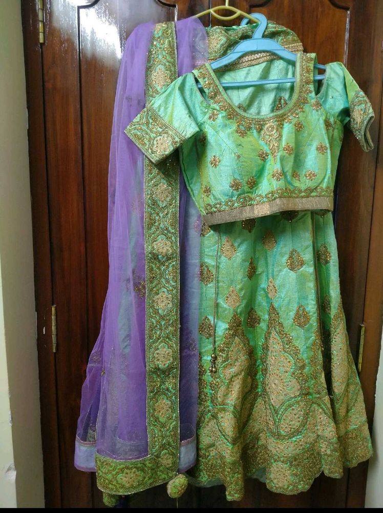 Stunning Mint Green Embroidered Lehenga Choli