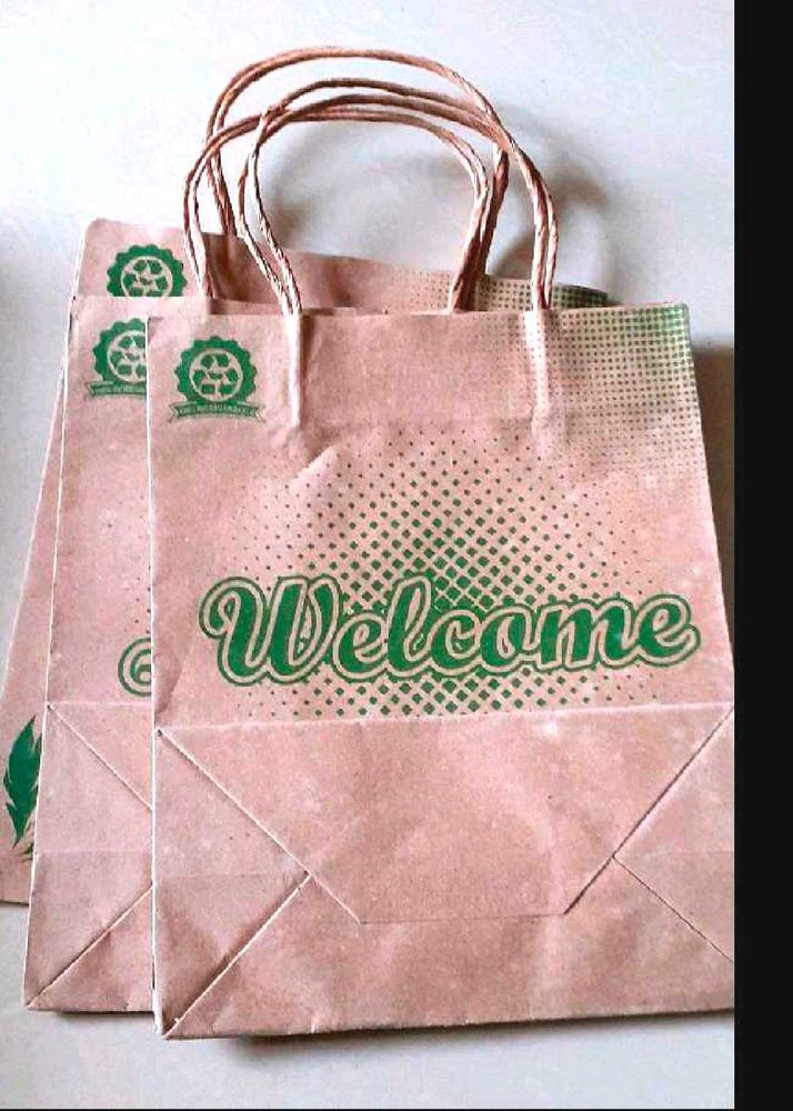 10 Thick Paper Bags