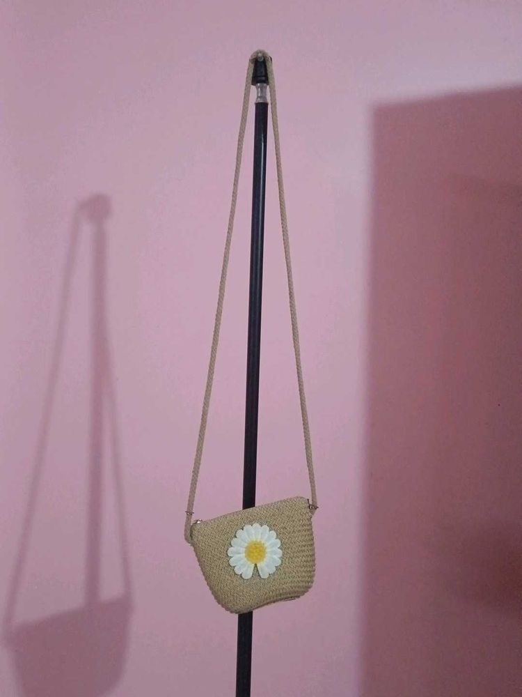 Cute Daisy Straw Crossbody Bag