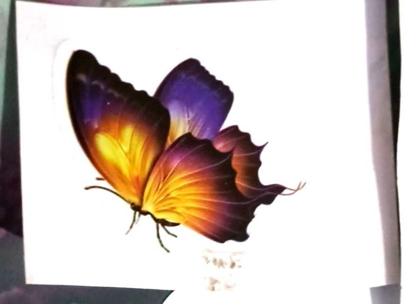 Butterfly Temporary Tattoo Sticker