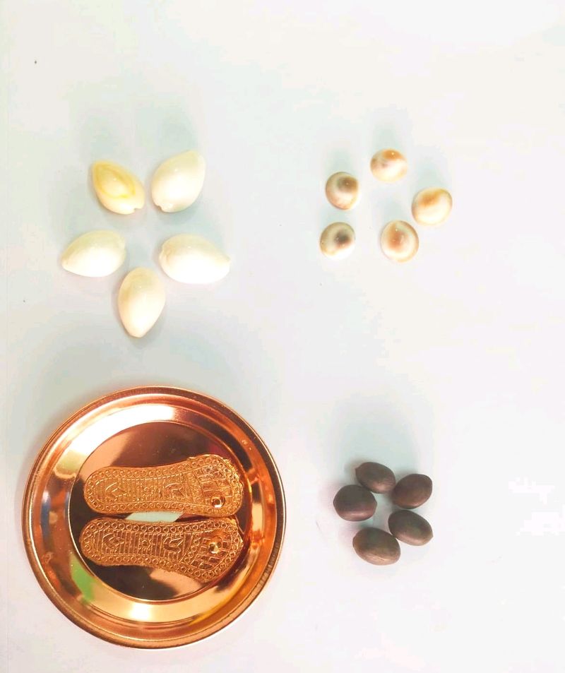 Lakshmi Charan Paduka Set