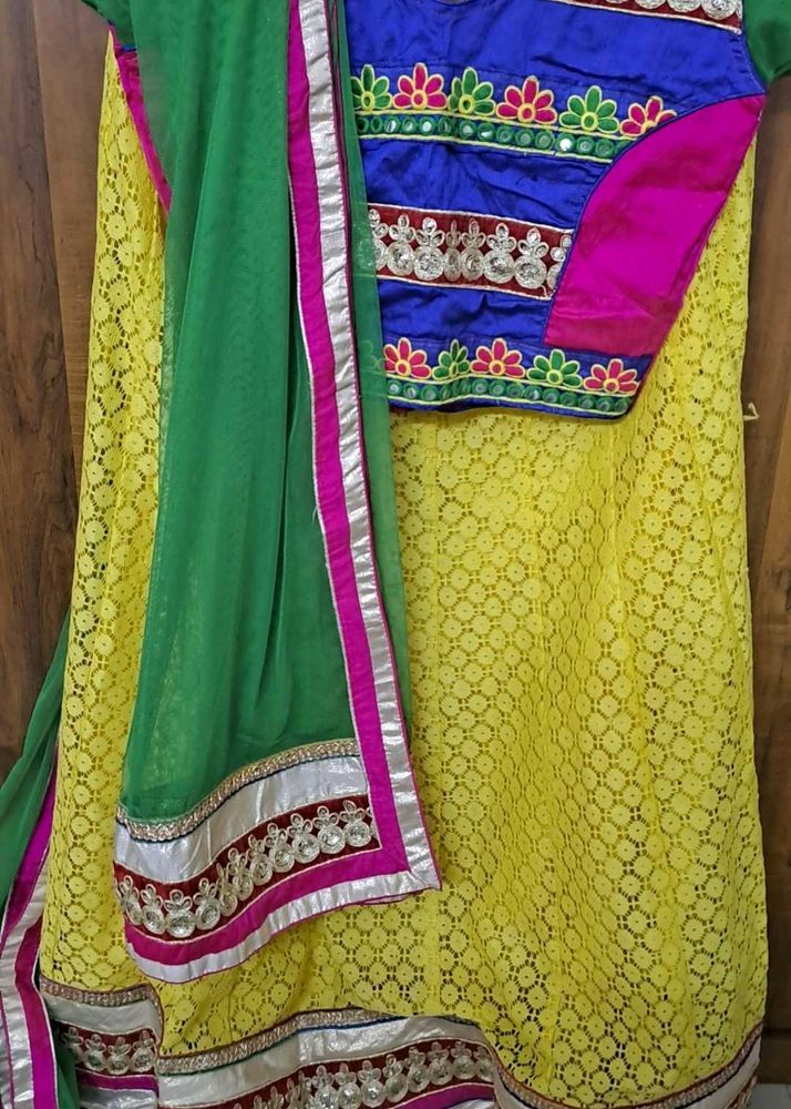 Two Combo Lehenga Choli Set