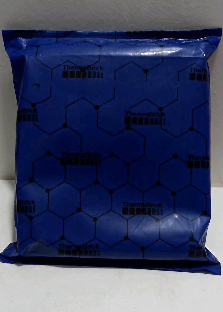 ThermoBrick Container