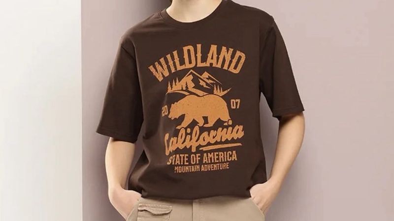 Brown Wildland California T-Shirt
