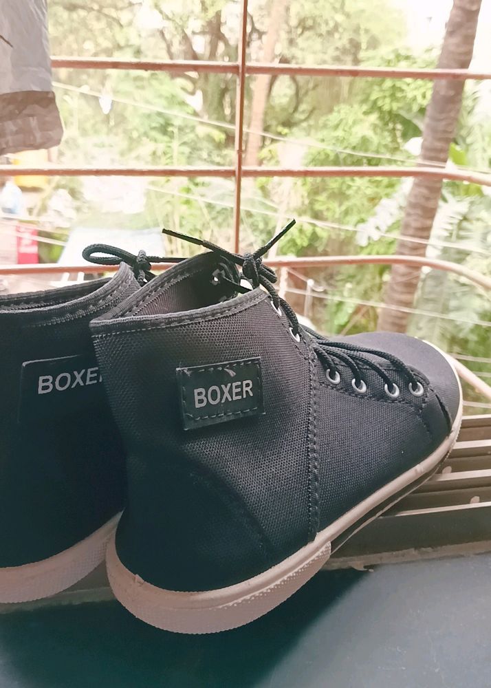 BOXER SHOES 