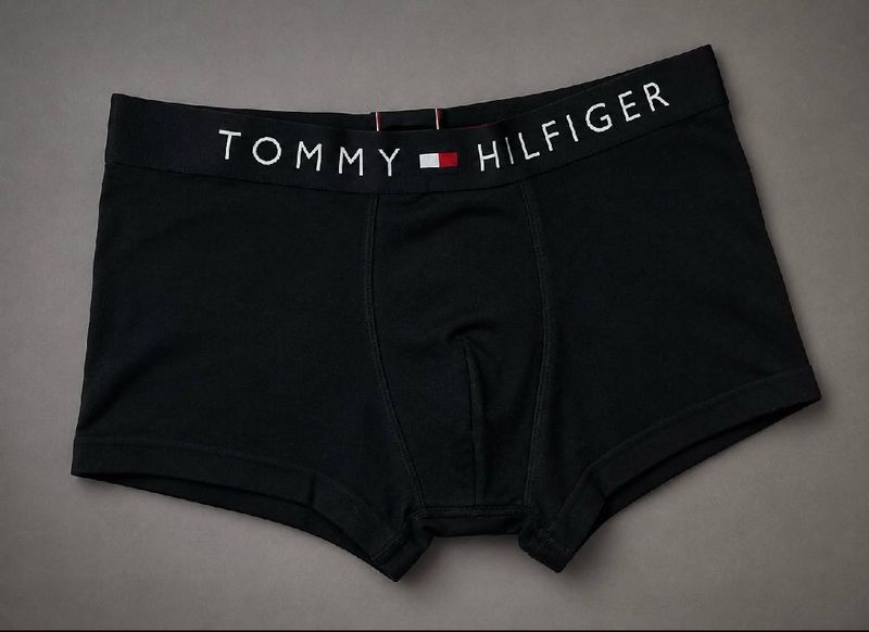 Tommy Hilfiger briefs