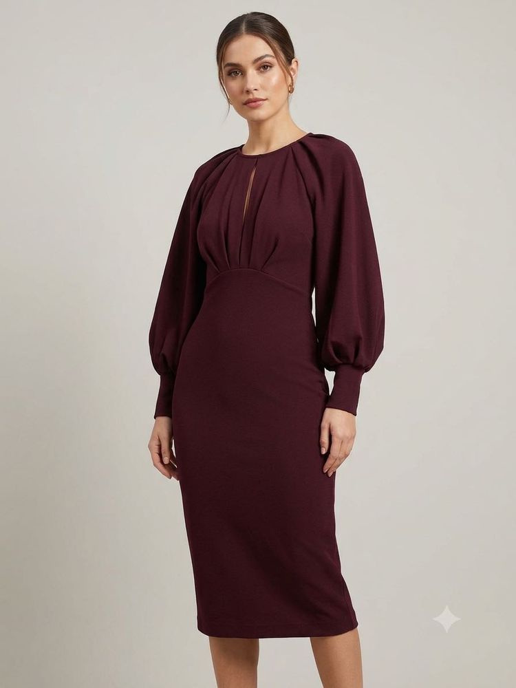Stylish Burgundy Puff Sleeve Dress