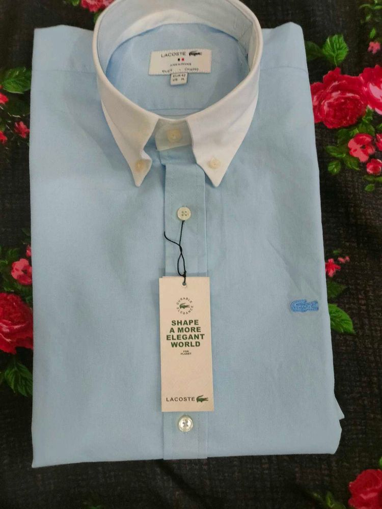 XL -NEW Lacoste CONTRAST COLLOR Shirt