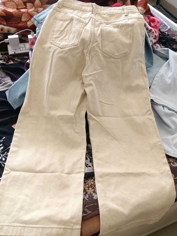Stylish Beige Pleated Pants