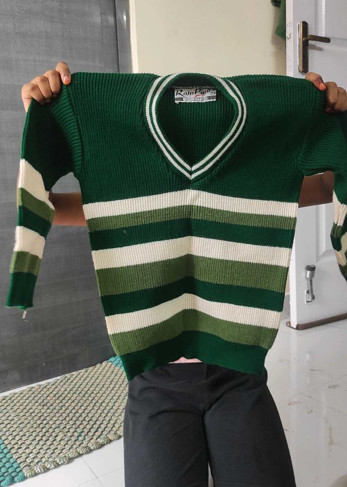 Green Striped V-Neck Sweater