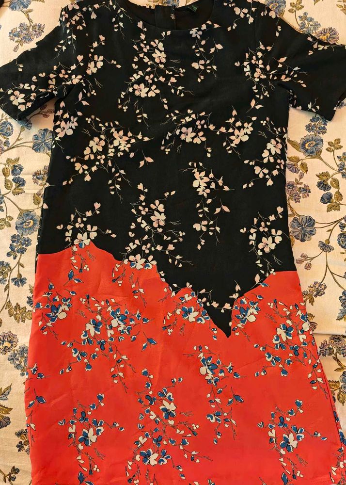 Branded Floral Print Knee-Length Dress