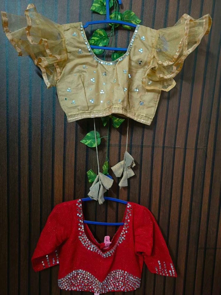 Stunning Embellished Ethnic Blouses pack of 2