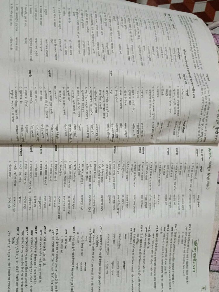 Hindi Dictionary Book