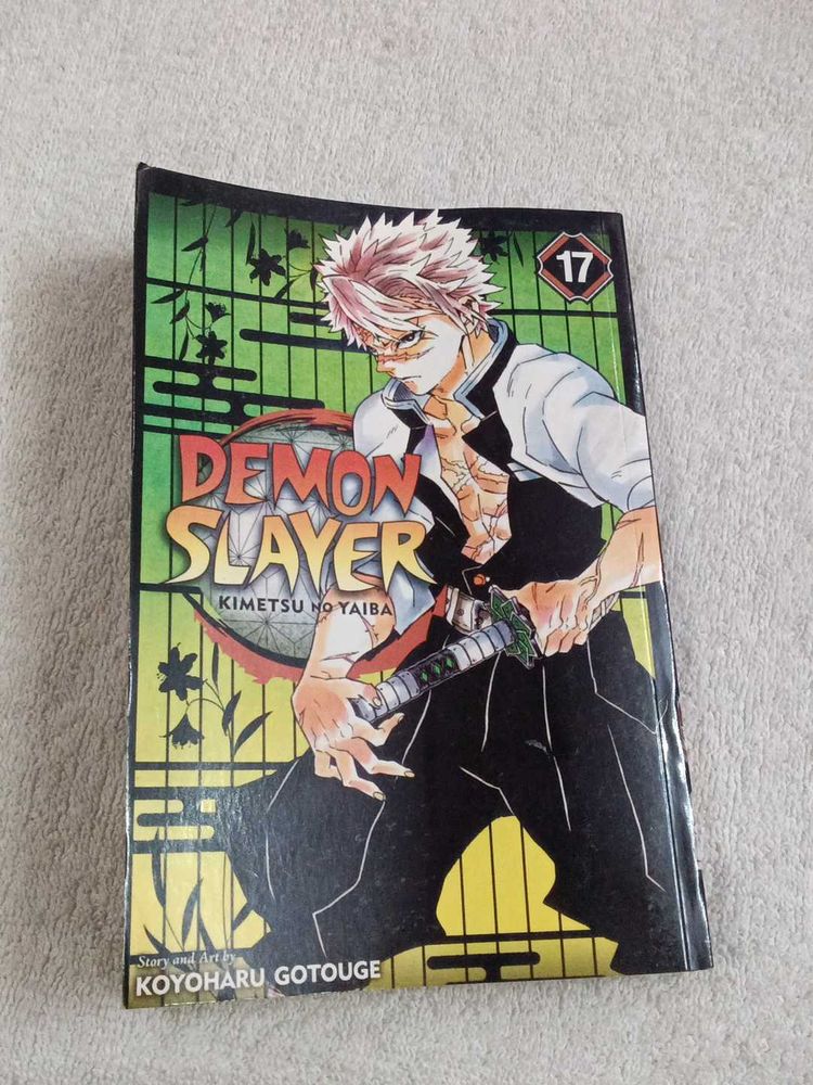Demon Slayer 17