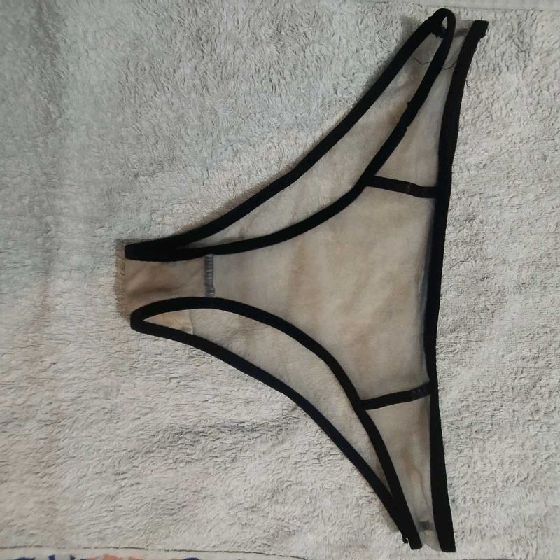 Sheer Mesh Briefs